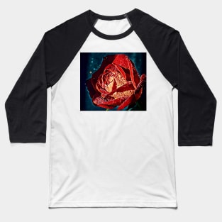 Rose In The Sunlight Baseball T-Shirt